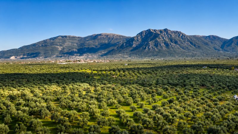 Land in Filiatra, Peloponnese, Western Greece and the Ionian, Greece 2 - 18343137