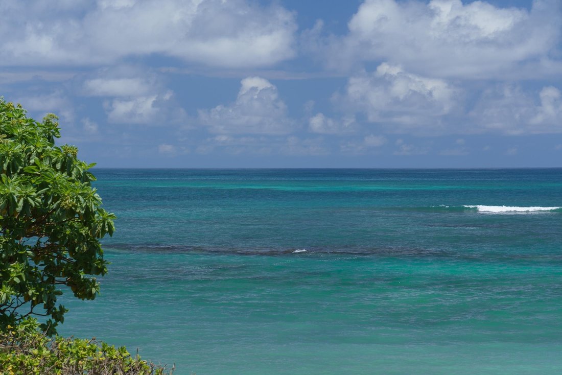 House in Paia, Hawaii, United States 3 - 18348697