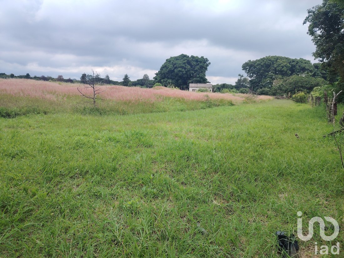 Land in Ocuituco, Morelos, Mexico 2 - 18344225