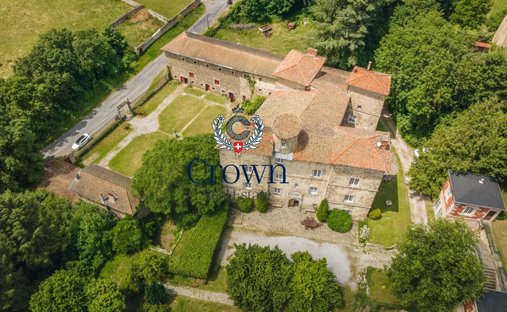 Castello a Saint-Galmier, Auvergne-Rodano-Alpi, Francia 1