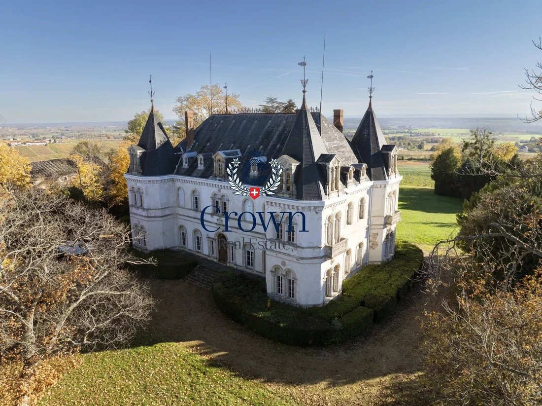 Schloss in Saint-Lager, Auvergne-Rhone-Alpen, Frankreich 4 - 18346722