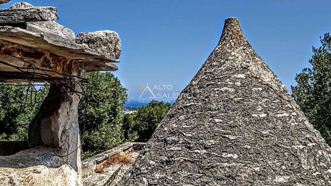 Maisons de campagne à Fasano, Pouilles, Italie 2 - 18343948