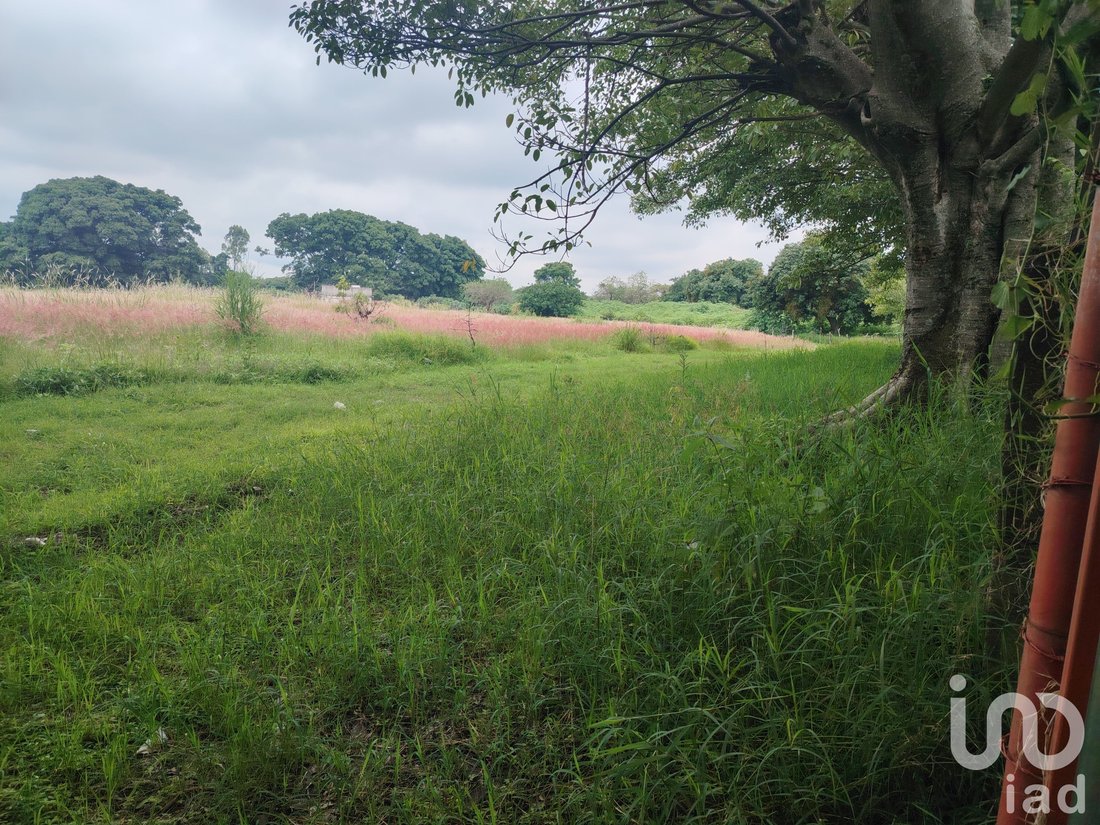Land in Ocuituco, Morelos, Mexico 5 - 18344225
