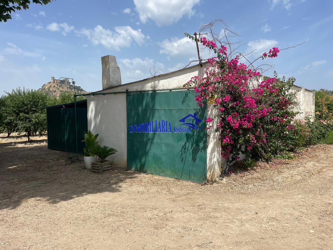 Finca in Almodovar del Rio, Andalusia, Spain 2 - 18144858