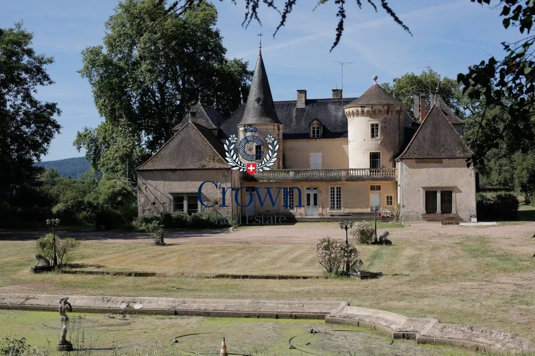 Château à Mâcon, Bourgogne-Franche-Comté, France 4 - 18346716