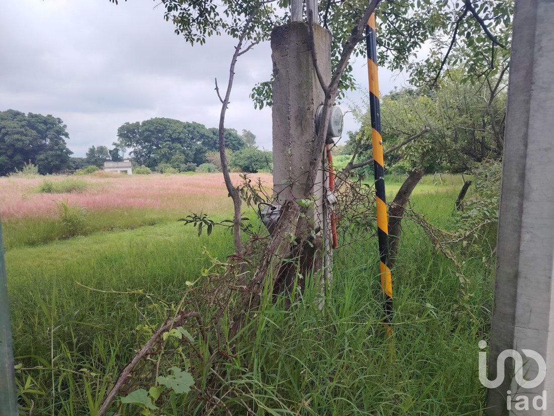 Land in Ocuituco, Morelos, Mexico 4 - 18344225