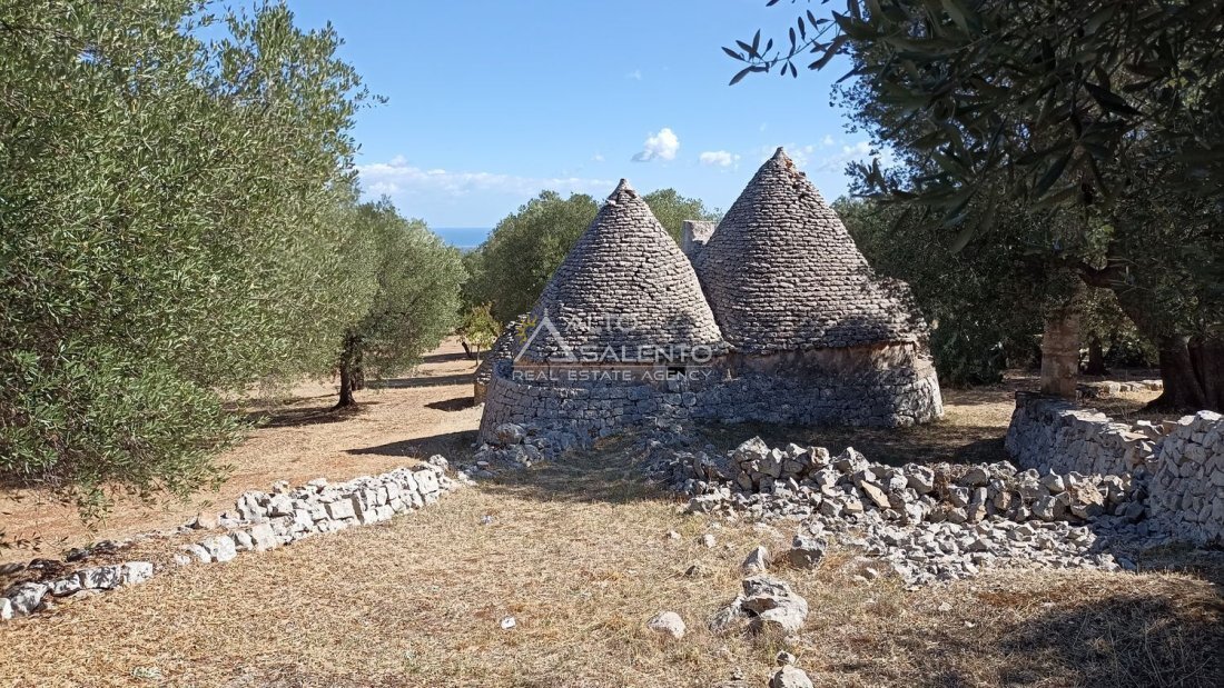 Maisons de campagne à Fasano, Pouilles, Italie 3 - 18343948