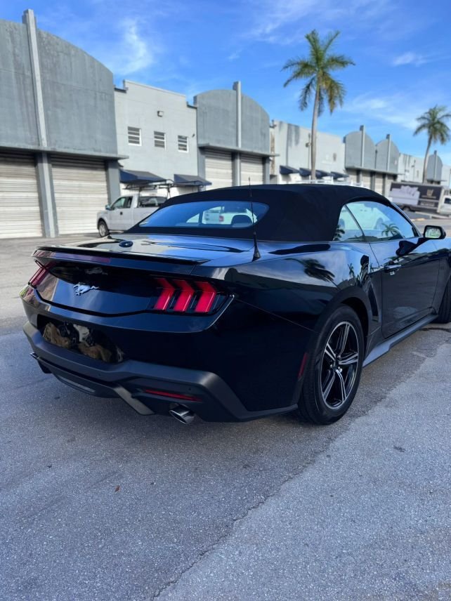 Cabriolet in Miami, FL, United States 4 - 18349885