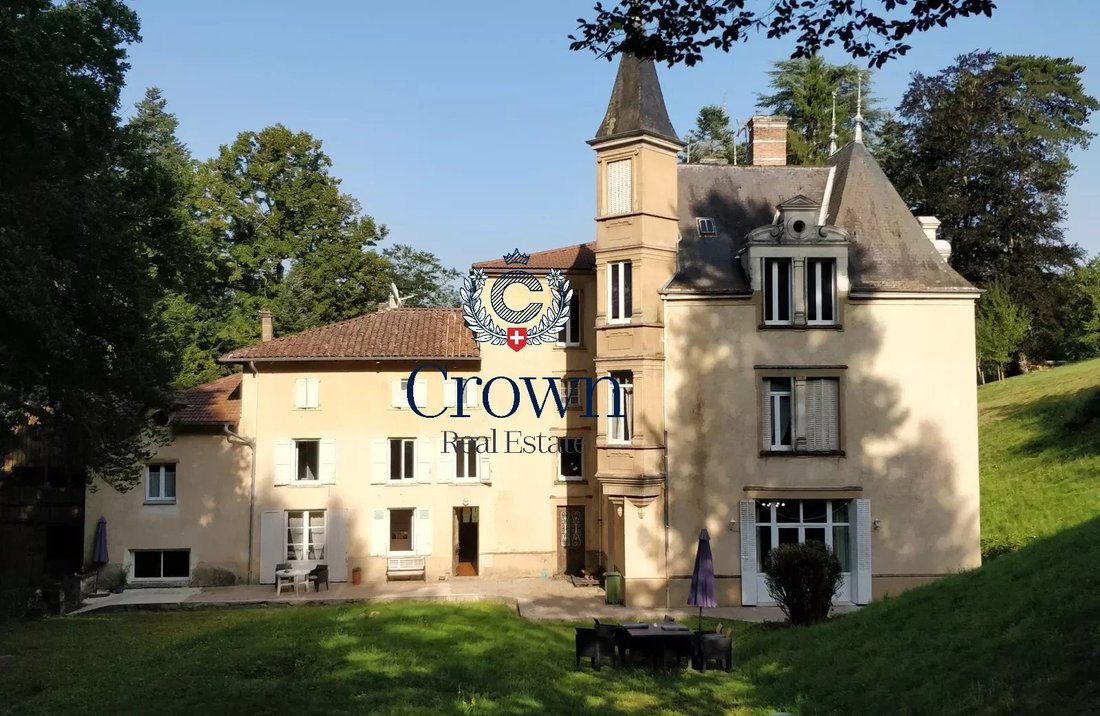 Castle in Berriat-Ampere, Grenoble, France 1 - 18346726