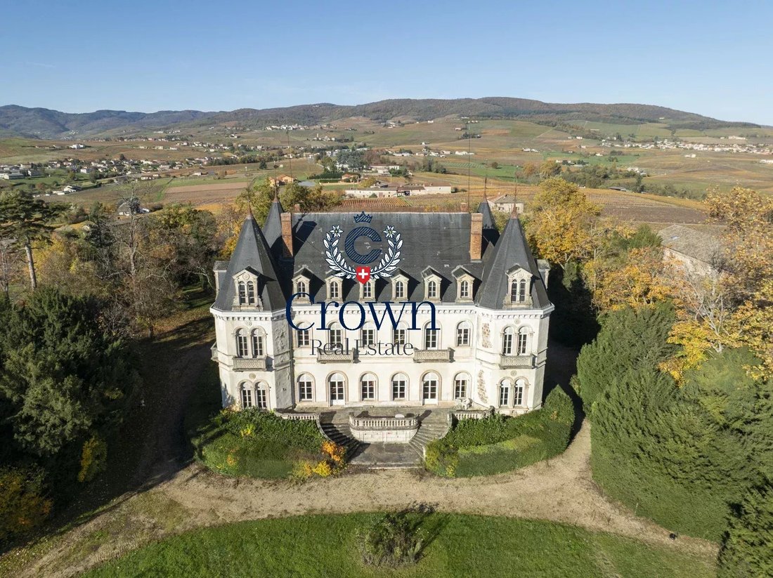 Schloss in Saint-Lager, Auvergne-Rhone-Alpen, Frankreich 3 - 18346722