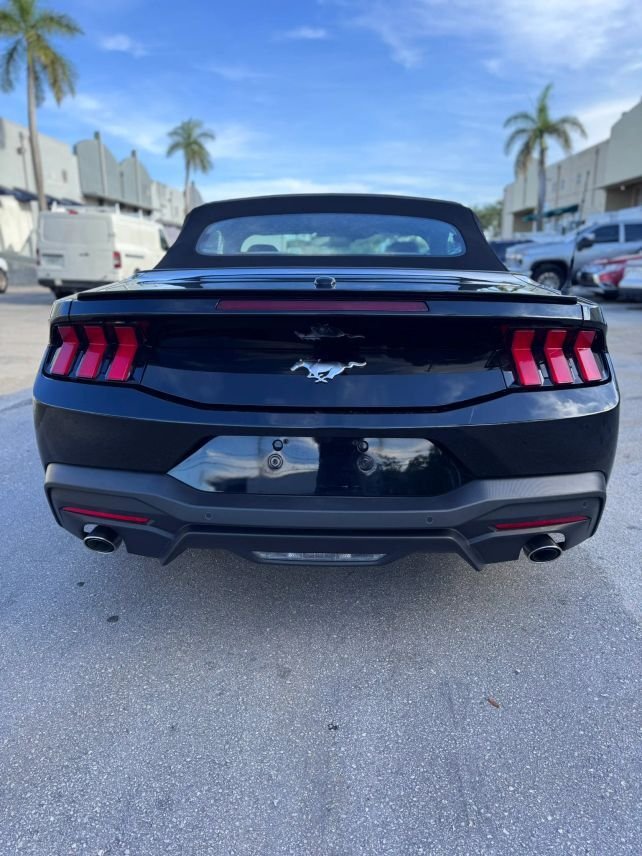 Cabriolet in Miami, FL, United States 5 - 18349885