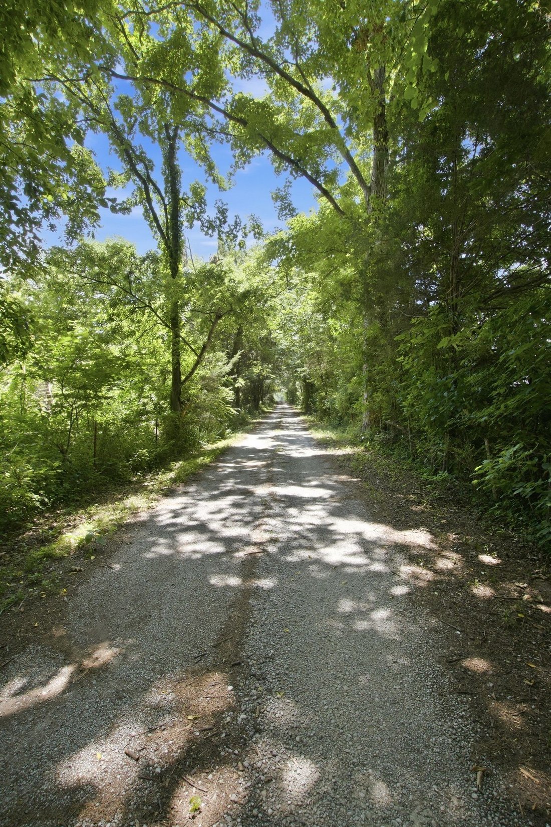 House in Shelbyville, Tennessee, United States 1 - 18343992
