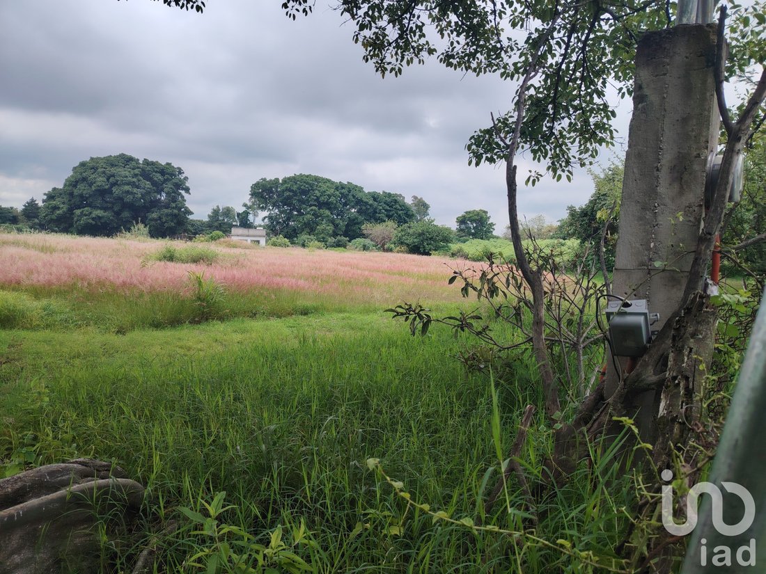 Land in Ocuituco, Morelos, Mexico 3 - 18344225