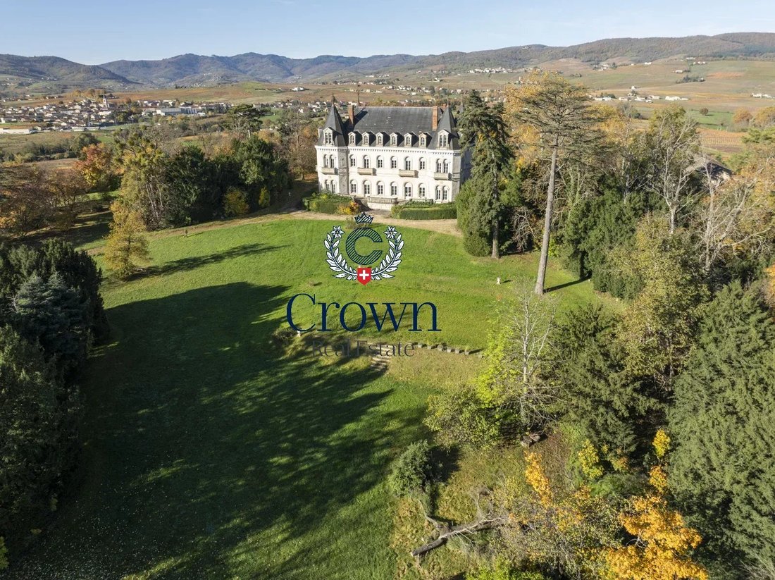 Schloss in Saint-Lager, Auvergne-Rhone-Alpen, Frankreich 5 - 18346722