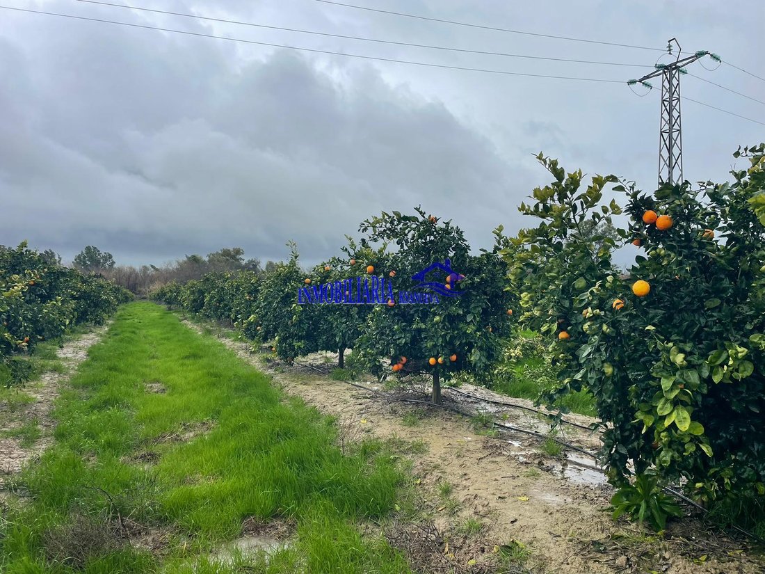 Finca in Almodovar del Rio, Andalusia, Spain 3 - 18144858