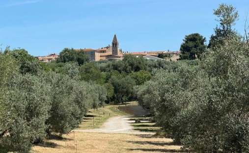 Country House in Magliano in Toscana, Tuscany, Italy 1