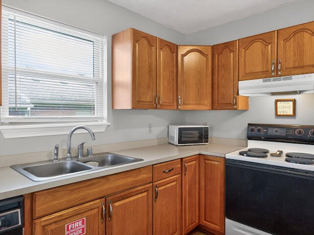 Townhouse in Versailles, Kentucky, United States 3 - 18347036