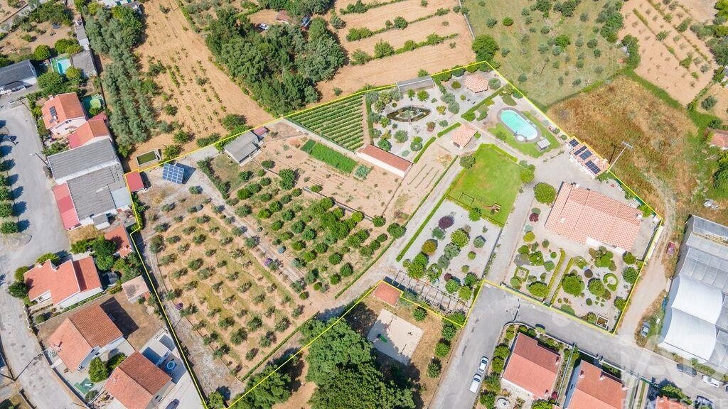 Farm Ranch in Midoes, Coimbra District, Portugal 1 - 18343213