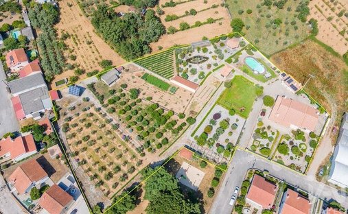 Azienda agricola a Midões, Distretto di Coimbra, Portogallo 1