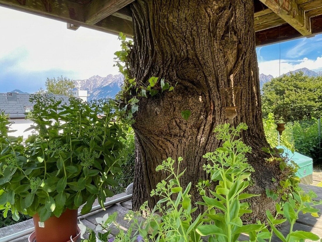 Apartment in Innsbruck, Tyrol, Austria 5 - 18344498