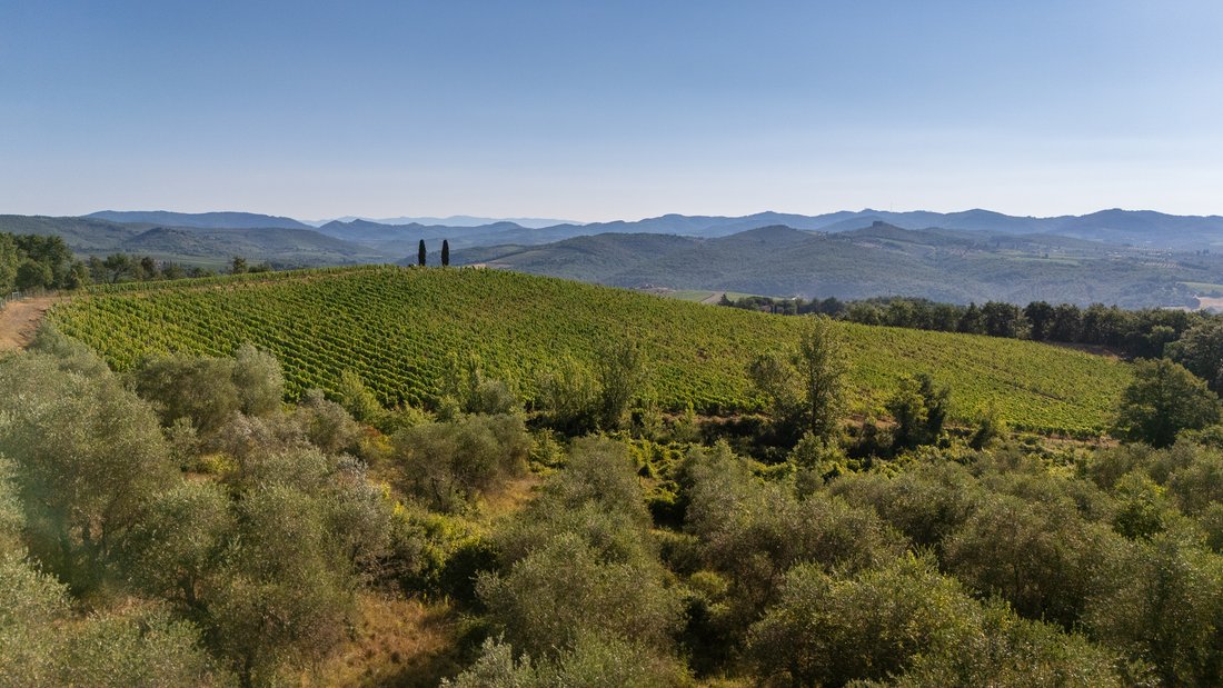 Villa in Gaiole in Chianti, Tuscany, Italy 5 - 18349207