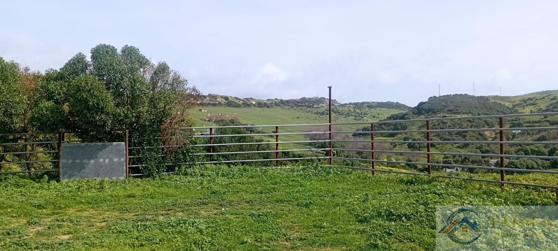 Finca in Tarifa, Andalusia, Spain 4 - 18306078