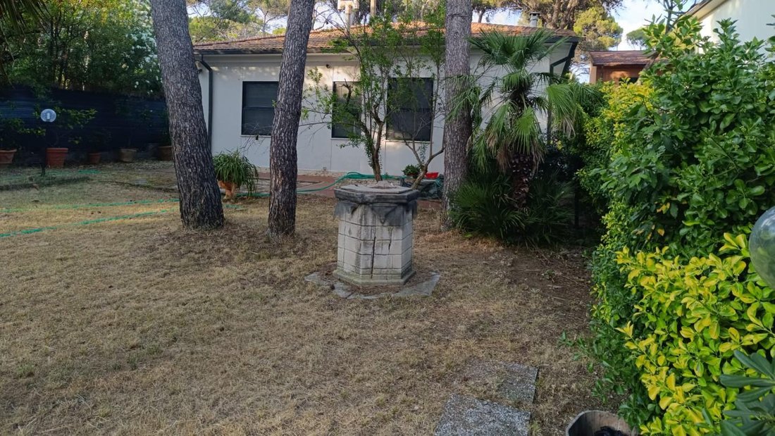 Andere in Livorno, Toskana, Italien 2 - 18345657