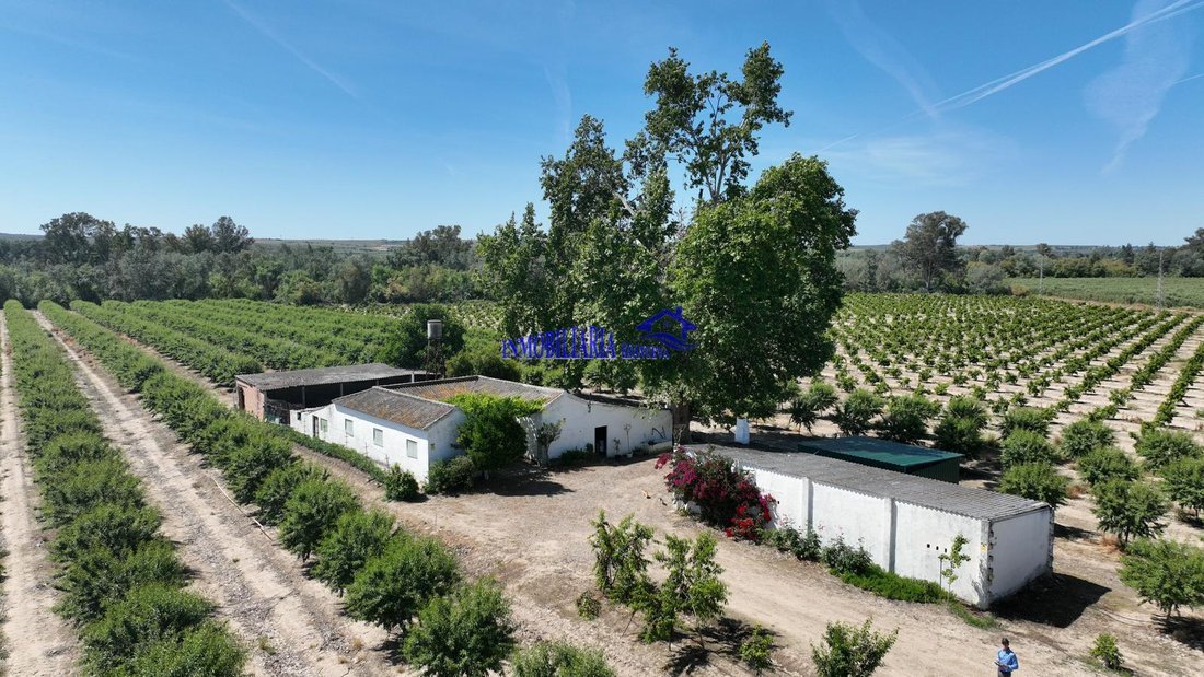 Finca in Almodovar del Rio, Andalusia, Spain 1 - 18144858