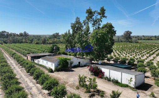 Finca in Almodovar del Rio, Andalusia, Spain 1