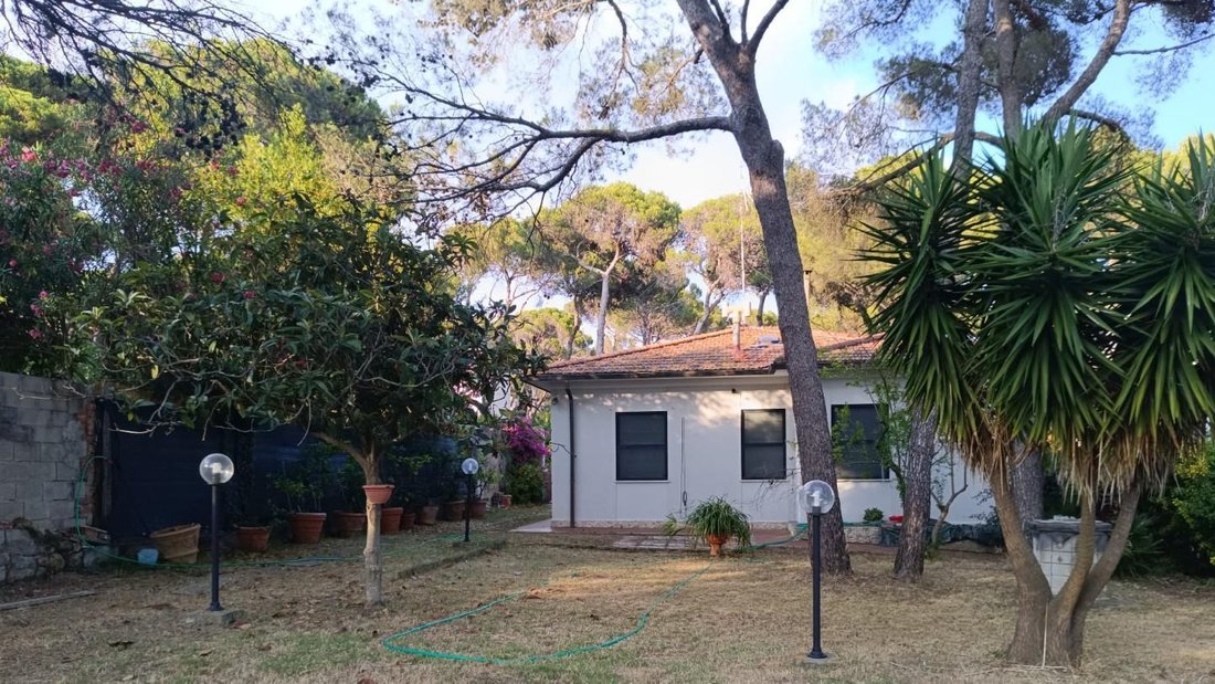 Andere in Livorno, Toskana, Italien 4 - 18345657