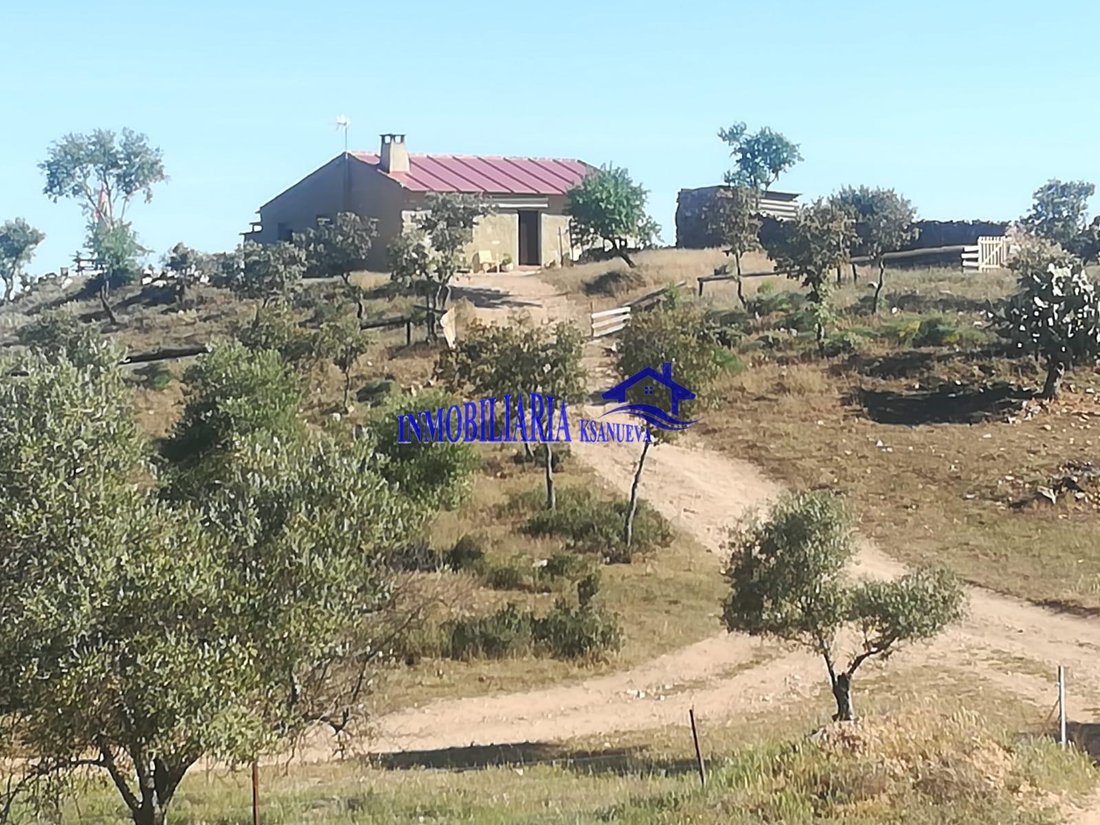 Apartment in Fuente Obejuna, Andalusia, Spain 2 - 13111136