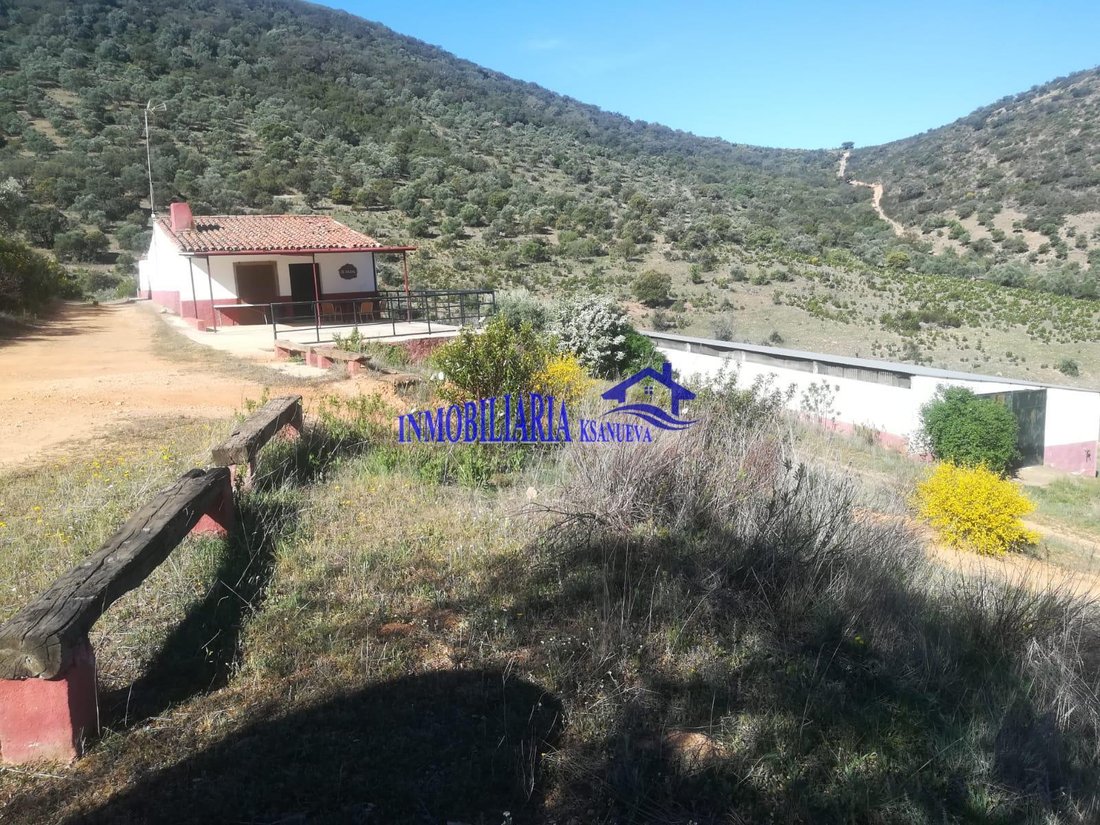 Apartment in Fuente Obejuna, Andalusia, Spain 1 - 13111136