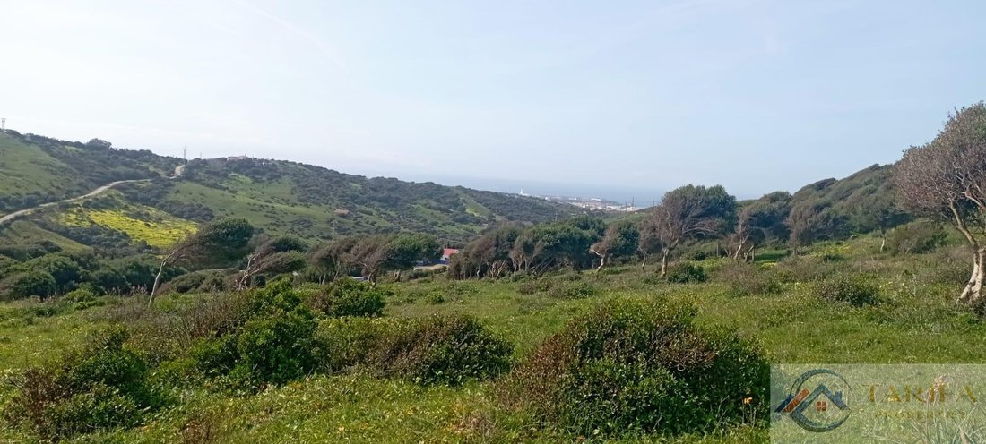Finca in Tarifa, Andalusia, Spain 3 - 18306078
