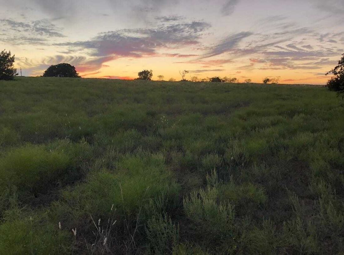 Land in Desdemona, Texas, United States 3 - 18346128