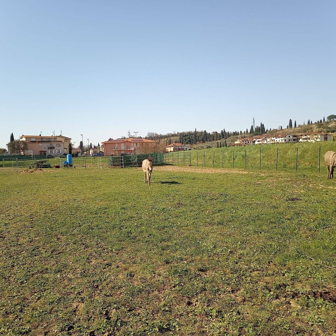 Villa in Bassa - Gavena - Pieve a Ripoli, Cerreto Guidi, Tuscany 3 - 18346011