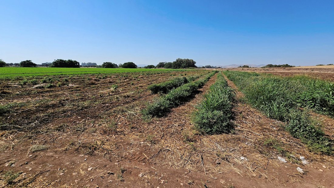 Land in Timi, Paphos, Cyprus 4 - 18346396