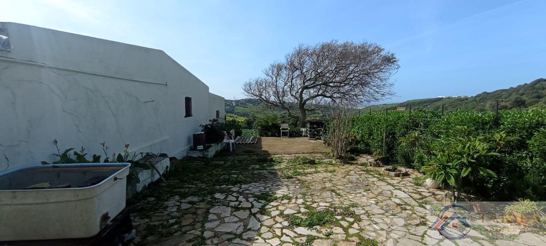 Finca in Tarifa, Andalusia, Spain 5 - 18306078