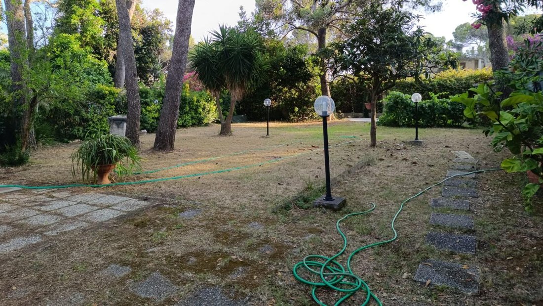 Andere in Livorno, Toskana, Italien 3 - 18345657