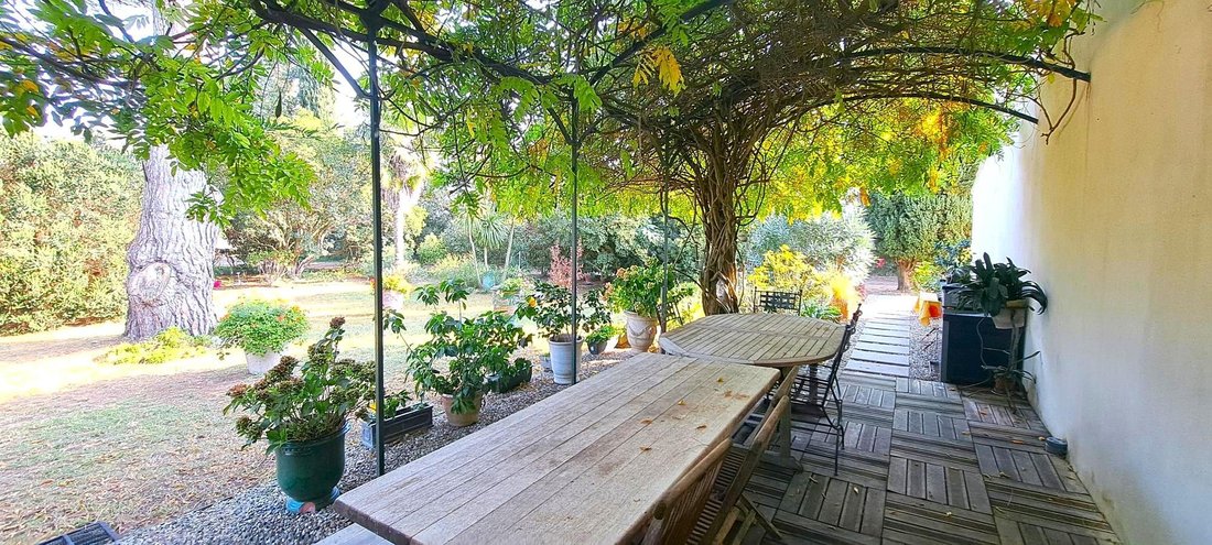 Estate in Saintes-Maries-de-la-Mer, Provence-Alpes-Côte d'Azur, France 5 - 18344311