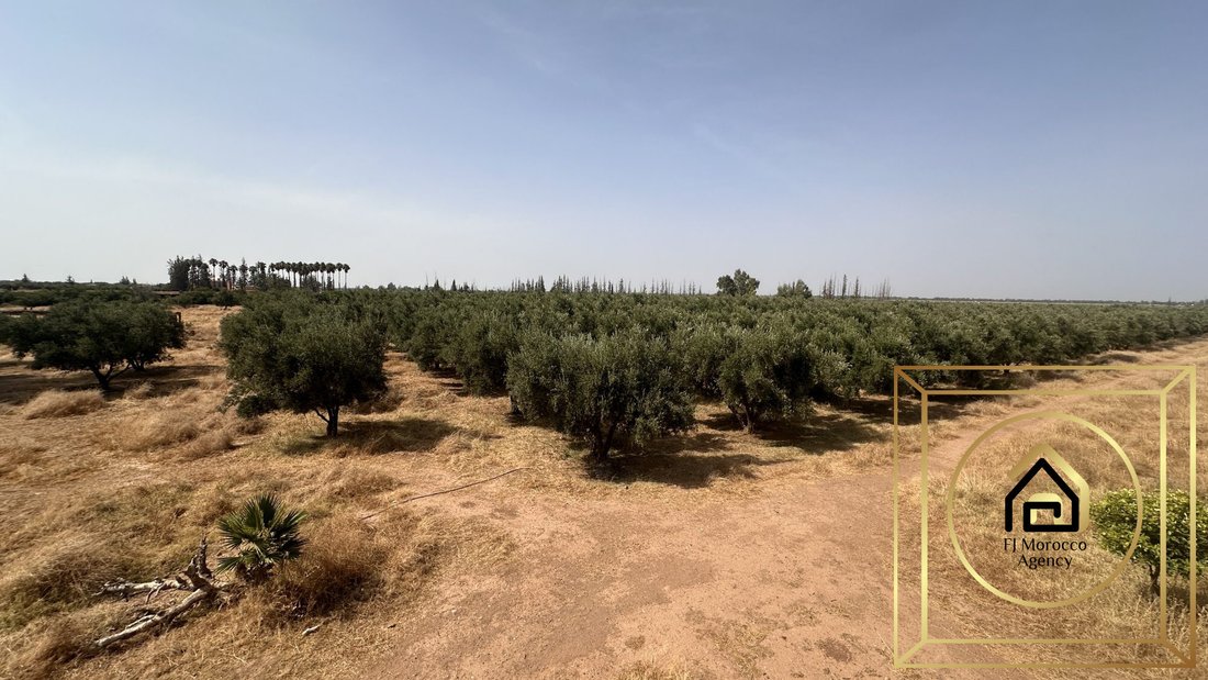 Terreno en Marrakech, Región de Marrakech-Safí, Marruecos 1 - 18348767