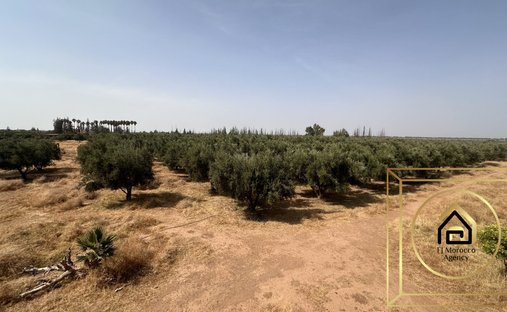 Terrain à Marrakech, Marrakech-Safi, Maroc 1