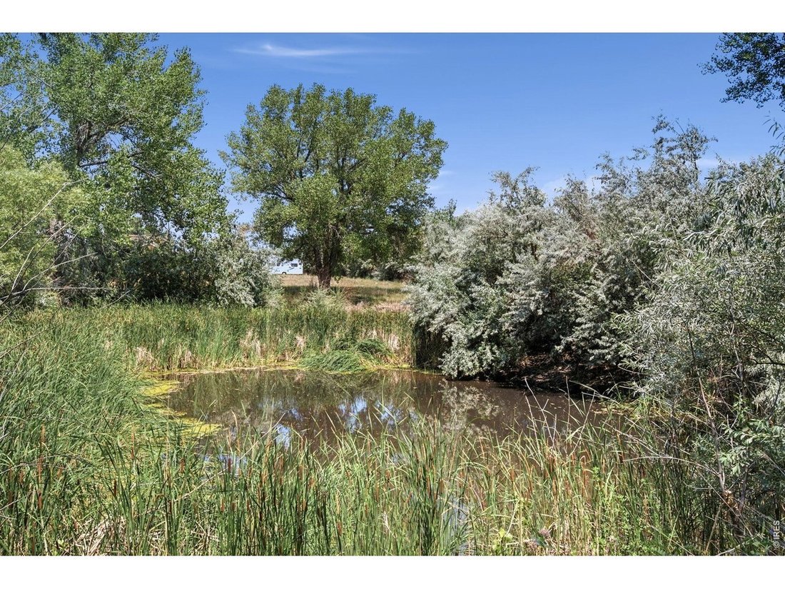 Longmont, Colorado, United States 5 - 18349689