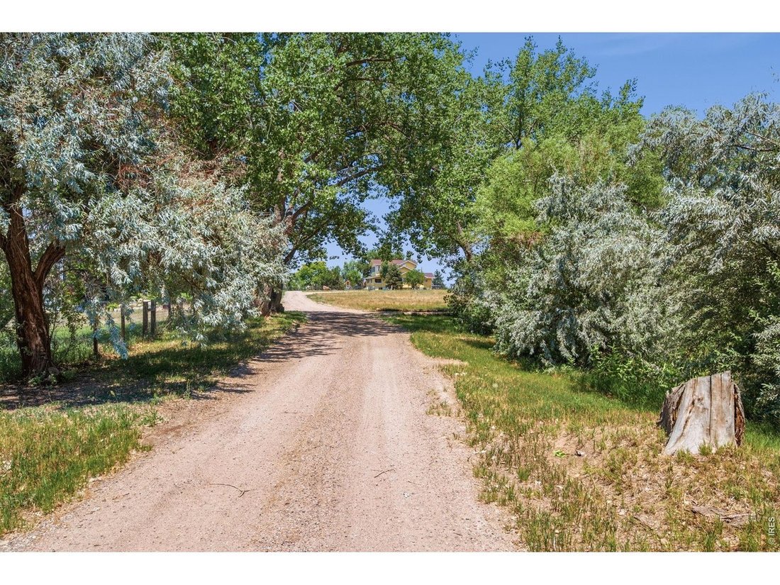 Longmont, Colorado, United States 4 - 18349689