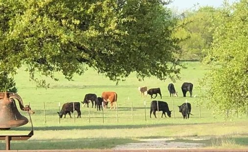 Land in Walnut Springs, Texas, United States 1