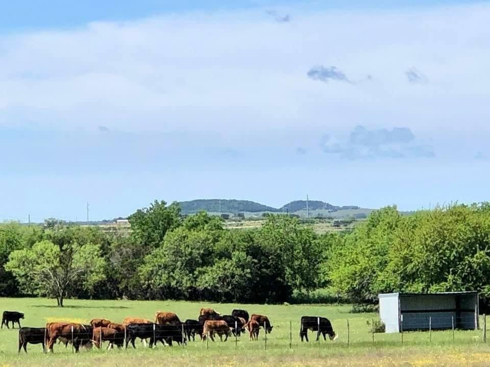 Farm Ranch in Walnut Springs, Texas, United States 4 - 18350217