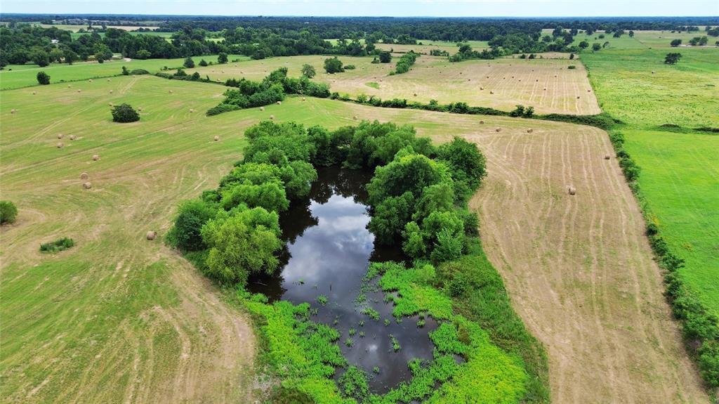 Azienda agricola a Como, Texas, Stati Uniti 4 - 18350183
