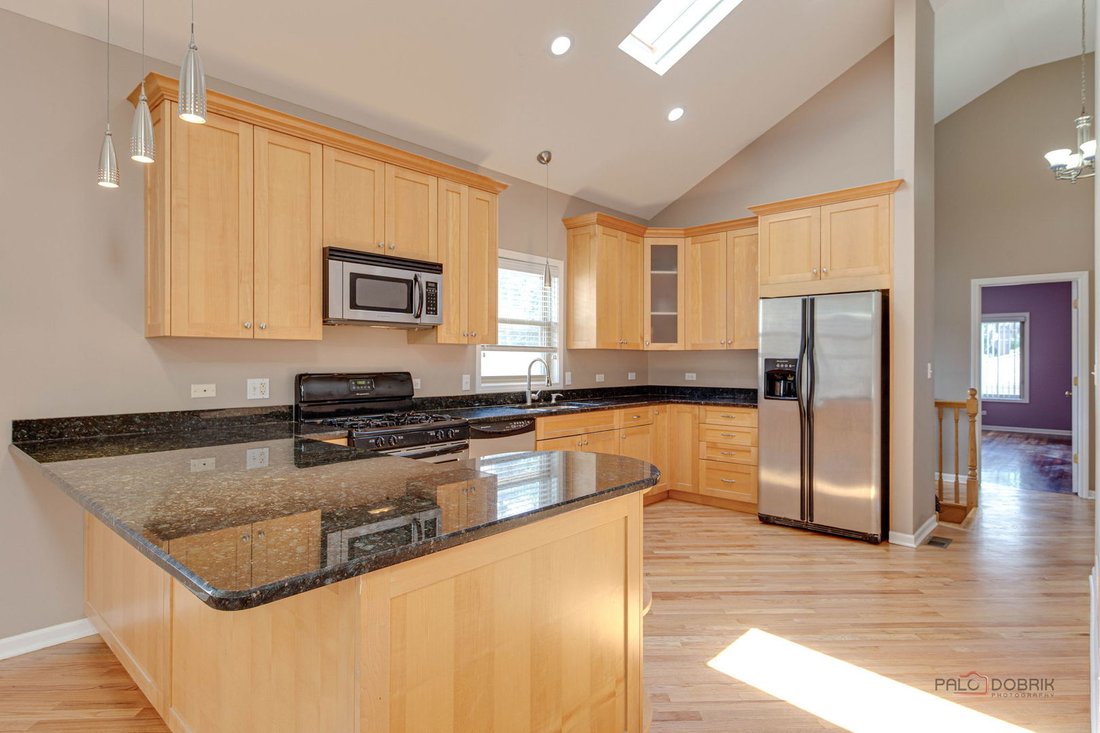 House in River Grove, Illinois, United States 4 - 18350050