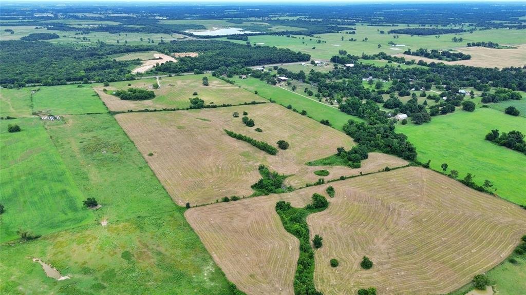 Azienda agricola a Como, Texas, Stati Uniti 2 - 18350183