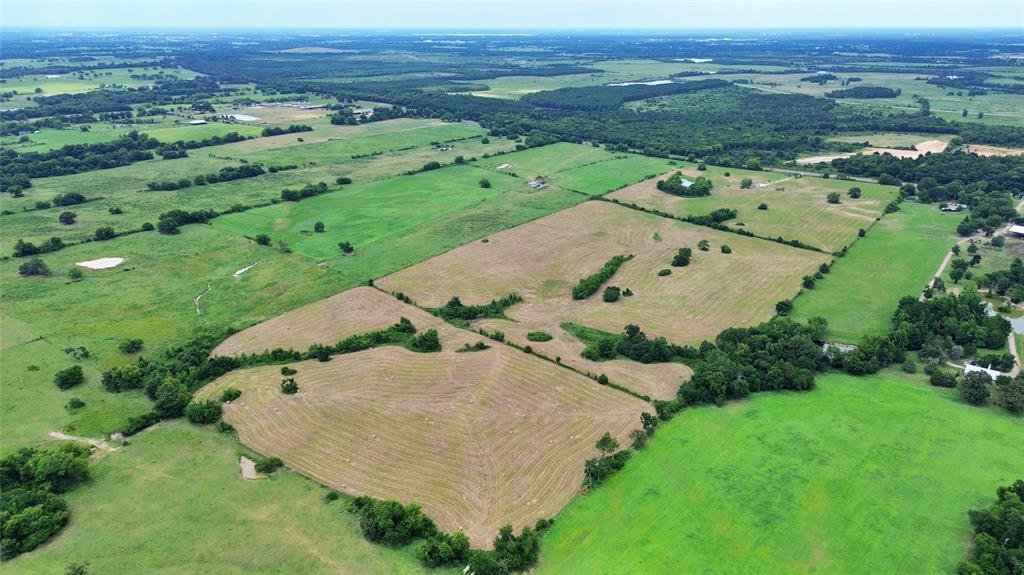 Azienda agricola a Como, Texas, Stati Uniti 3 - 18350183
