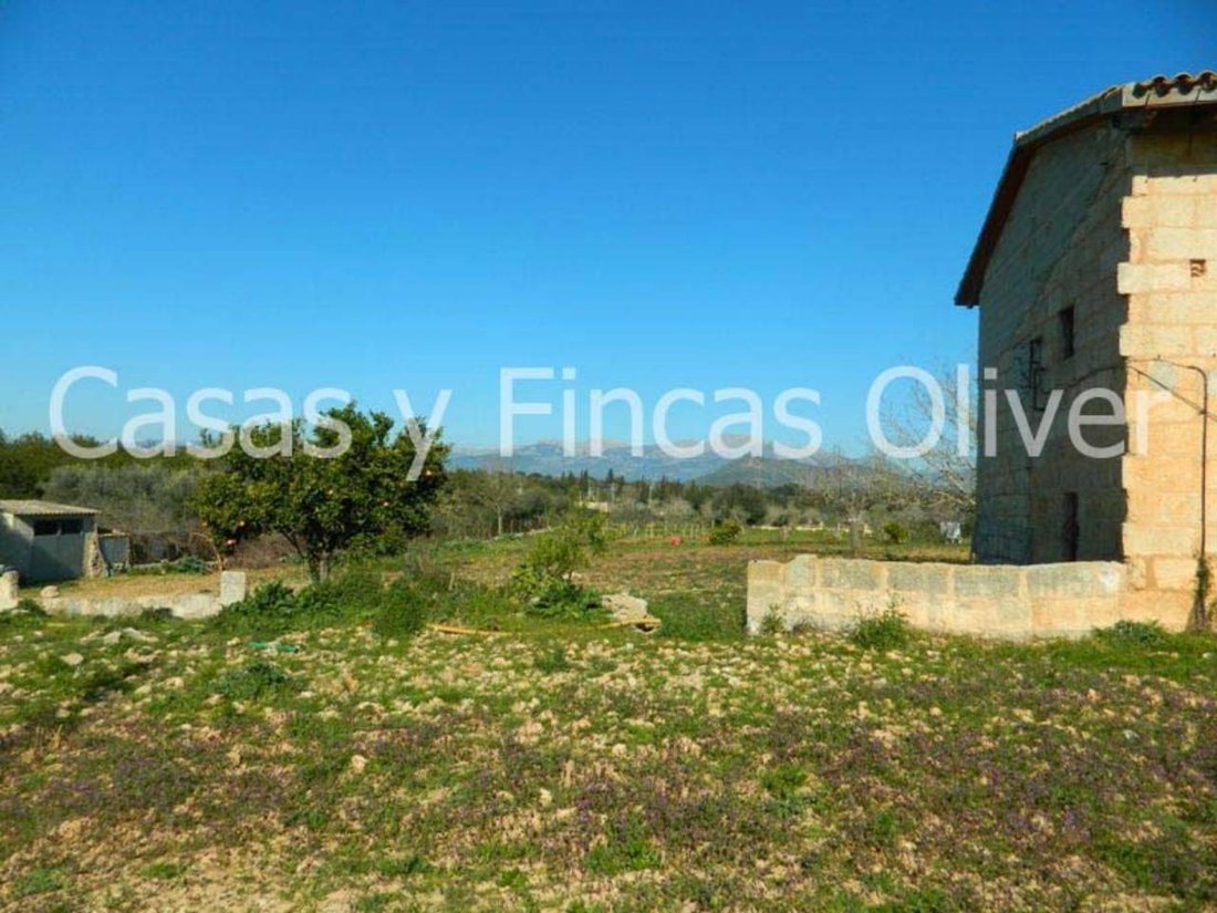 Landhaus in Llubí, Balearische Inseln, Spanien 5 - 18350382